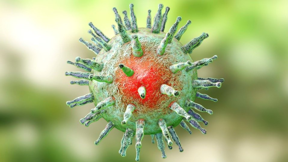 Un estudio de la Universidad de Harvard señala al virus de Epstein–Barr como principal agente causal de la Esclerosis Múltiple